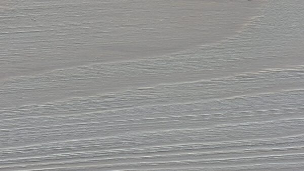 Light gray wood texture with annual rings, macro shot of bleached wooden surface, abstract grainy background